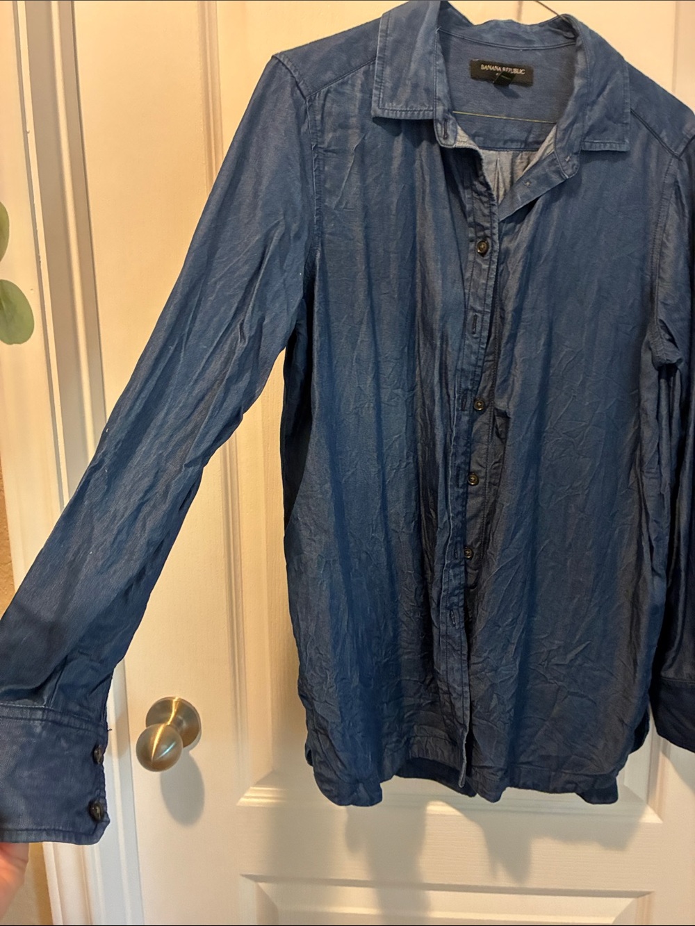 Banana Republic Blue Women's Button-Down Shirt